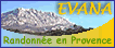 banni�re 88*31