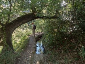 petit sentier Tholonet