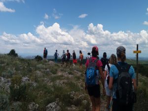 randonnée avec un guide dans Sainte Victoire et garrigue