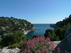 Calanque Port Pin - balade avec un guide professionnel