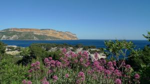 parc national des Calanques - falaises Soubeyranne