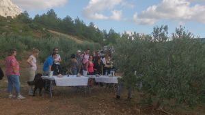 Balade avec un apéritif provençal avec un guide professionnel