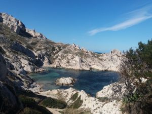 Le Frioul - la calanque de la Crine - superbe calanque