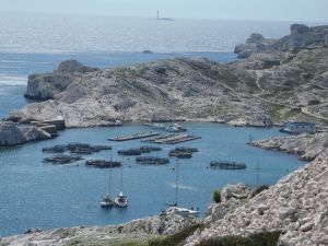 Iles du frioul - l'ancien port de Pomègues - ferme piscicole