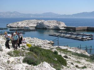 Le Frioul et ses balades naturalistes avec un guide professionnel - Pomègues