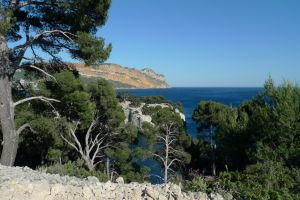 La calanque de Port Miou - falaises Soubeyranne- Cassis