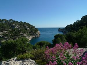 calanque Port Pin Cassis Marseille