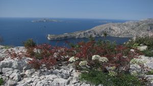 Le bec de Sormiou dans les calanques