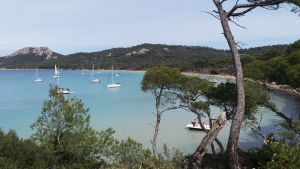 Ile de Porquerolles avec le groupe des balades nature